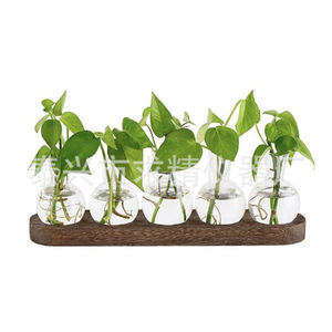 Glass Hydroponic <b>Vases</b> With Wooden Tray Round Shape Tabletop Decor For Plants - Product Image 4