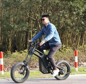 Carbono e bike 2000w3000w motocicleta elétrica, vintage, 2023, venda quente, 24,5 ah, suspensão completa, carbono, bicicleta gorda