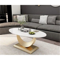 Table basse ovale en métal brillant, moderne, luxueuse, décorative, portable, pour petit salon, meubles de maison