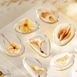 1 autocollant par paquet, série Échos de la nature, thème fleurs séchées, autocollants en résine transparente pour <span class=keywords><strong>collage</strong></span> de journal - Product Image 1