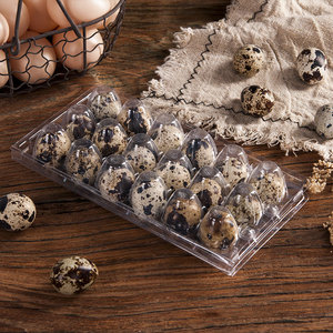 Hot Sale Multi Size High Quality Quail Egg Tray PET Thickened Quail Egg Packaging Tray