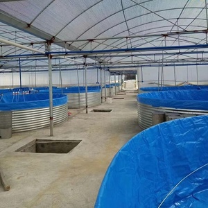 Serbatoio Biofloc Circolare Grande <span class=keywords><strong>SDM</strong></span> 113.000 Litri, Diametro 10m x Altezza 1.45m, Zincato, per Acquacoltura e Allevamento Ittico RAS - Product Image 5