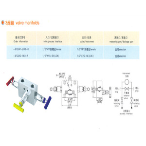 บล็อกวาล์วสามทาง Oupu ขนาด 1/2 นิ้ว วาล์วควบคุมทิศทางสำหรับระบบไฮดรอลิก - Product Image 4