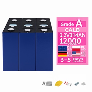 Cellule prismatique CALB Gotion Cornex 314Ah 3.2V pour véhicule électrique à trois roues - Product Image 1