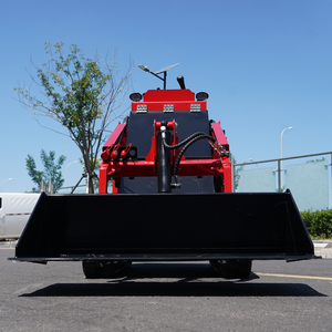 Мини-погрузчик с двигателем, насосом, редуктором, мини-гусеничный погрузчик с ковшом, траншеекопателем, роторным плугом - Product Image 4