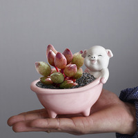Jardinière de bureau créative en céramique émaillée avec motifs d'animaux mignons et succulents, jardinière faite à la main avec pots de plantes vertes