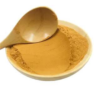 Estratto vegetale di <span class=keywords><strong>quercia</strong></span> Gall Manjakani Quercus infectoria estratto - Product Image 1