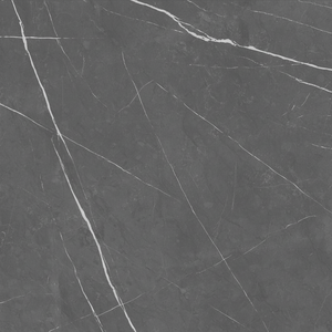 Carreaux de sol en porcelaine émaillée mate aspect pierre gris foncé au design moderne tailles 600x600 et 800x800 Échantillon gratuit disponible pour les chambres - Product Image 1