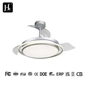 Ventilateur de plafond rétractable à télécommande avec lumière, 42 pouces, couleur argent, 3 pales en fer, moteur DC de haute qualité, profil bas, silencieux - Product Image 4