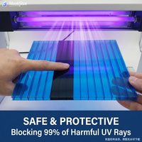 Plaque alvéolaire double paroi en polycarbonate transparent anti-infrarouge de 8 mm avec protection UV pour la toiture