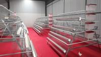 Industrial Supplier Maintenance Support Cage for Chickens Layer Chicken Cage Layer Cages Egg Chicken Poultry Farm for Pakistan