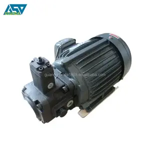 Hydraulic oil pump motor set VP15/VP20+0.75KW/1.5KW hydraulic pump assembly inner shaft motor hydraulic station