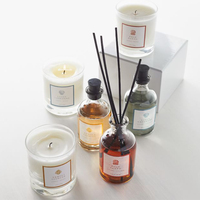 Diffuseur de parfum en verre écologique de luxe avec bâtonnets naturels, huile essentielle naturelle, diffuseur de forme liquide, ensemble cadeau