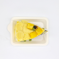 SUMKOKA Petites assiettes de dégustation en bagasse pour gâteaux et desserts – Durables, biodégradables, mini-plats jetables, supports à gâteaux en canne à sucre