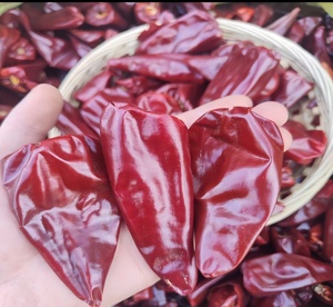 Poivron Doux Séché Naturel Sans Tige Yidu Chili Beijing Hong Rouge pour le Marché Thaïlandais et Éthiopien - Product Image 1