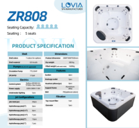 Spa Jacuzzi extérieur pour 5-6 personnes, bain à remous en acrylique avec système de contrôle intelligent Balboa pour la maison et le jardin