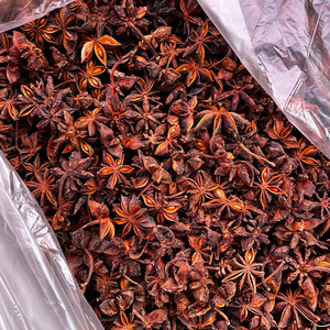 Anís estrellado natural AD deshidratado al por mayor, especias y hierbas enteras personalizadas a precio de mayorista - Product Image 5