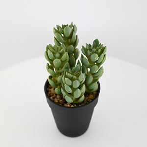 <span class=keywords><strong>Cactus</strong></span> artificiel de 20 cm de haut, bonsaï, plante succulente de simulation dans un pot en plastique noir pour la décoration de la maison, du bureau, de la table ou de l'étagère - Product Image 1
