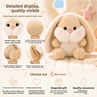 Peluche Lapin Mignon à Grandes Oreilles, Rembourrage Coton PP, Petit Lapin Porte-clés Breloque Sac, Figurine 12cm Unisexe pour Tous Âges