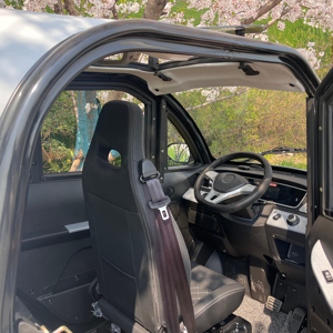 Qualità e quantità garantita nuova energia veicolo elettrico 4 ruote auto a bassa velocità auto elettrica per adulti Mini auto Made in China - Product Image 3
