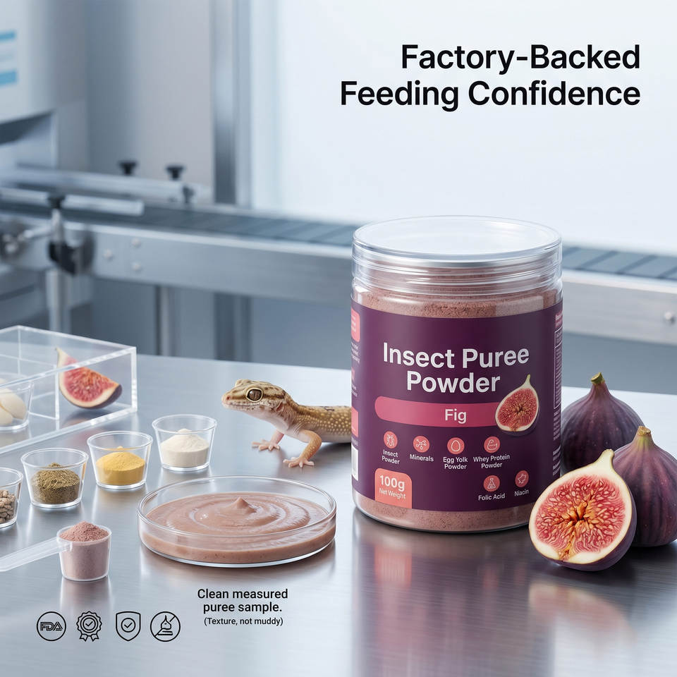 Gecko Small Lizard Reptile Insect Powder Soft Paste Fruit Puree Gut ...