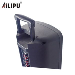 Stampo personalizzato personalizzato da 8 pollici aixa de som alexia google - Product Image 2