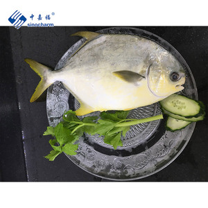 Pesce Congelato Intero Pomfretto Dorato Congelato - Product Image 3