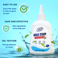 Gel Nettoyant Magique Anti-Moisissures et Taches Profondes pour la Maison, Murs, Mastic et Toilettes