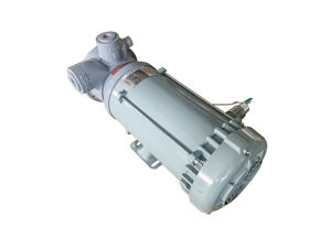 Bomba Submersível para GNL/GLP - Bomba Criogênica para Terminais de Armazenamento e Carregamento de Tanques - Product Image 4