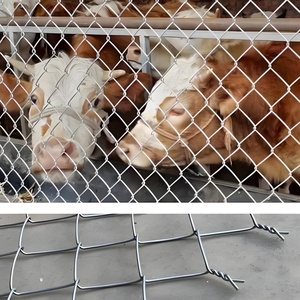 Nhà máy đang bán tốt. Dây lưới số 9 cho nhà vườn lưới trang trại động vật mạng - Product Image 4