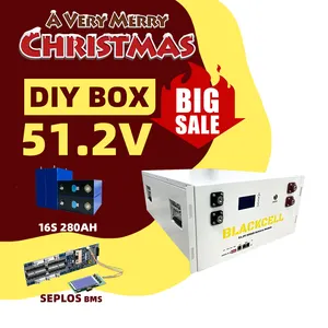 Bebas pajak Natal DIY 51.2V baterai Lithium Ion kasus 48V kotak kosong Lifepo4 baterai dengan Bluetooth BMS Inverter