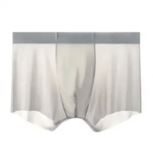 OEM Herren transparente sexy Unterwäsche Herren nahtlose Box Herren Unterwäsche