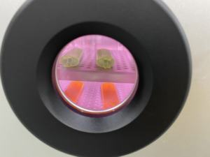 बेंचटॉप वैक्यूम प्लाज्मा सफाई मशीन प्लाज्मा क्लीनर प्रयोगशाला अनुसंधान के लिए प्लाज्मा क्लीनर - Product Image 3