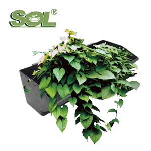 Jardinières verticales auto-arrosantes - Système de pots de fleurs en plastique pour mur végétal intérieur et extérieur - Product Image 3
