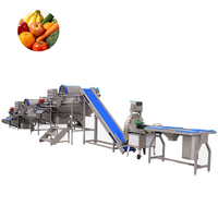 Complete automatische fruit- en groenteverwerkingslijn voor diepvries aardbeien, bosbessen, frambozen met wassen, sorteren en IQF