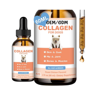 Complément alimentaire liquide au collagène pour chien, marque privée OEM/ODM, pour la santé des articulations, la peau, le pelage et la mobilité.