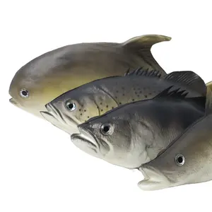 4件套生物模型拍摄道具短金枪鱼和花鱼鲈鱼海岸设计风格雕刻静物图案