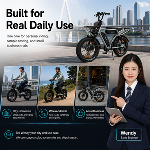 Bicicleta eléctrica utilitaria M9 20 X 4.0 con motor trasero, batería dual, cesta, portaequipajes, diseño de dos asientos, bicicleta versátil. - Product Image 6
