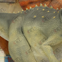 Costume de dinosaure de Simulation d'usine Zupaysaurus jambes cachées Costume de dinosaure modèles de dinosaure Animatronic