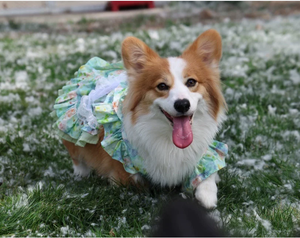 Original Gradient Green Pet Princess Dress Stylish Wearable Outfit with Leash <b>Ring</b> for <b>Cats</b> & Dogs Pet Accessories - Product Image 2