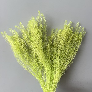 Mini Fiore Essiccato e Conservato per Cornici Artigianali, Candele e Creazioni Fai-da-Te in Resina Epossidica - Product Image 1