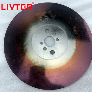 Лезвие для циркулярной пилы LIVTER Tct Kinkelder Hss сделано в Голландии цена дисковая пила - Product Image 3