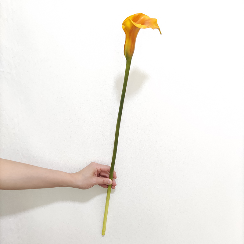 OX80035-1 orange