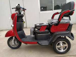 Motocicleta Eléctrica de Carrocería Abierta para Personas con Discapacidad, con Capacidad para 2 Pasajeros - Product Image 2
