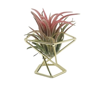 3pcs Supports de plantes à air en céramique de luxe géométriques modernes Grandes tables suspendues carrées/dessus de bureau Mini pots de jardin de luxe - Product Image 1