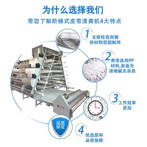 Cage à poules pondeuses de type A combinée pour 6 poulets par cage, équipement d'élevage avicole avec alimentation et abreuvement automatiques - Product Image 2