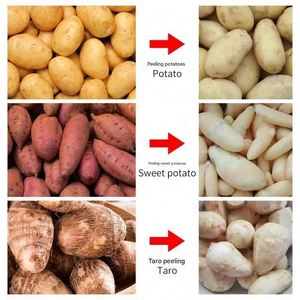 Machine à éplucher les pommes de terre électrique compacte en promotion – Éplucheur automatique de fruits et légumes commercial pour usage domestique et agricole en Chine - Product Image 4