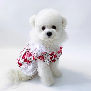 Summer Princess Dress For <b>Small</b> Dogs Rose Lace Breathable Pet Skirt Bichon <b>Teddy</b> Outfit - Product Image 4