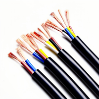 Cable de Alimentación Flexible de Bajo Voltaje RVV/BVVR con Conductor de Cobre, Aislamiento XLPE y Cubierta de PVC, Clasificación IP67, Tamaños 1/2/3/4/3+1/5/3+2/4+1, Certificación CE