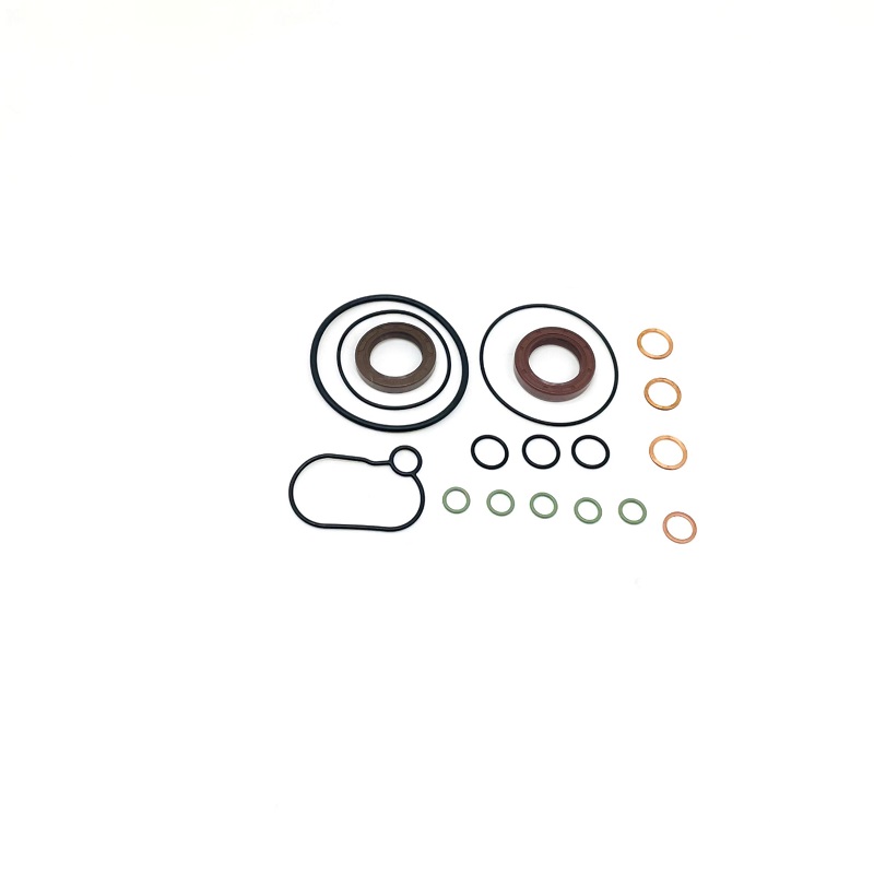 High Quality Diesel Fuel Pump Part Repair Kit  F00N201976 For CP3 Pump